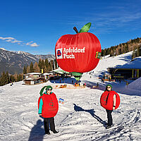 Apfel im Schnee 2024